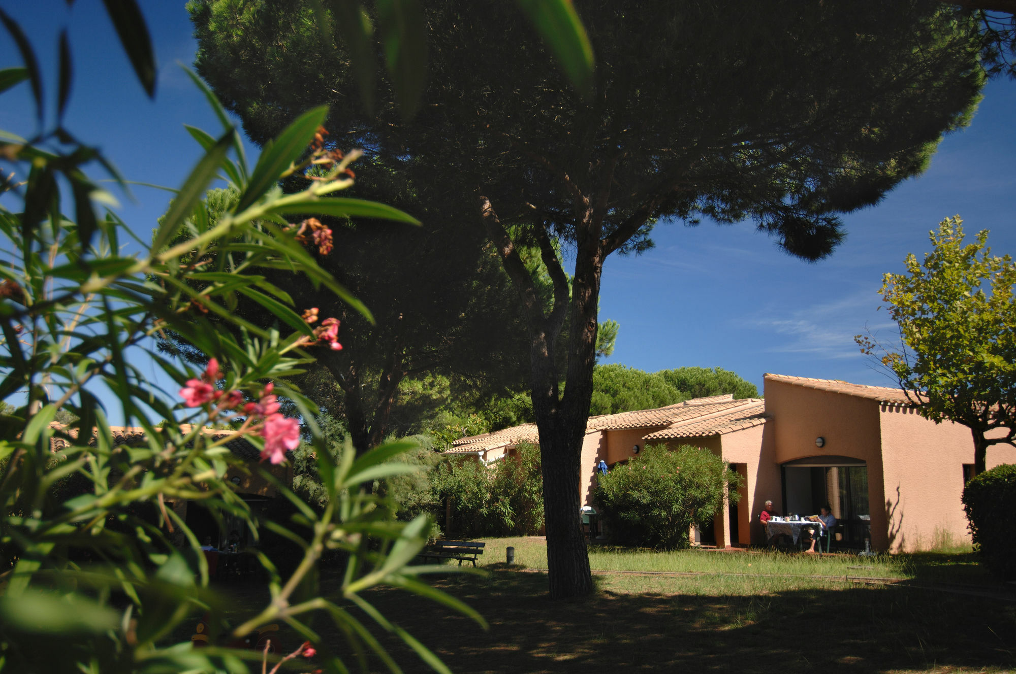 Residence Odalys Saint Loup Agde Exteriör bild